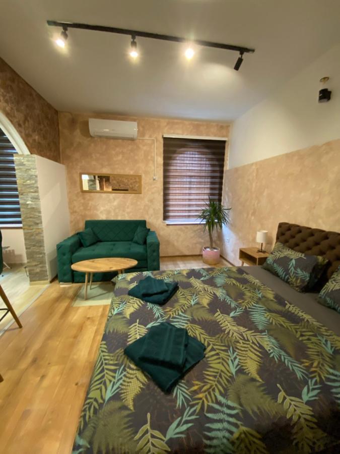 Delux Apartman Požarevac エクステリア 写真