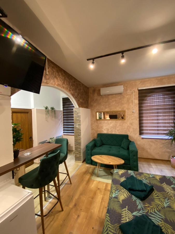 Delux Apartman Požarevac エクステリア 写真